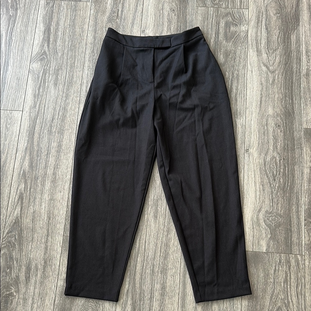 Zara Slouchy pleated pants